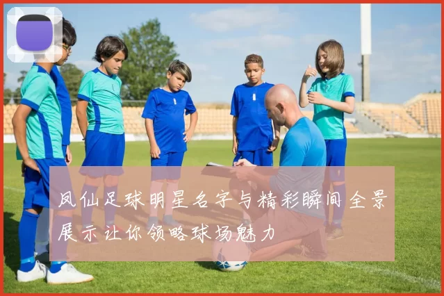 凤仙足球明星名字与精彩瞬间全景展示让你领略球场魅力