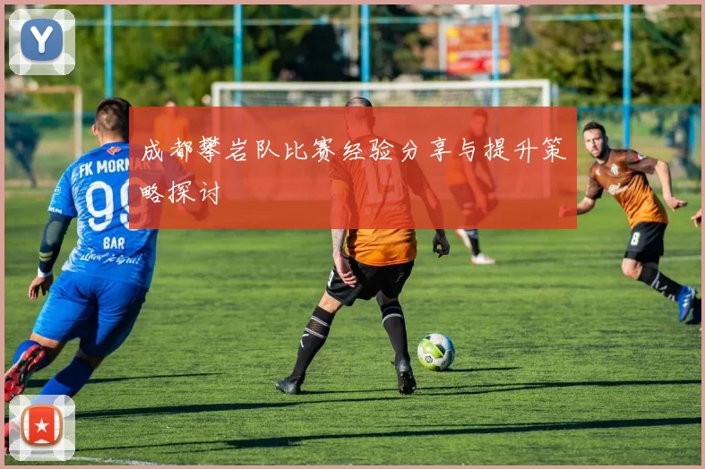 成都攀岩队比赛经验分享与提升策略探讨