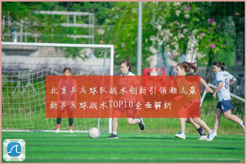北京乒乓球队战术创新引领潮流最新乒乓球战术TOP10全面解析