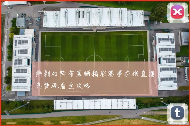 热刺对阵布莱顿精彩赛事在线直播免费观看全攻略