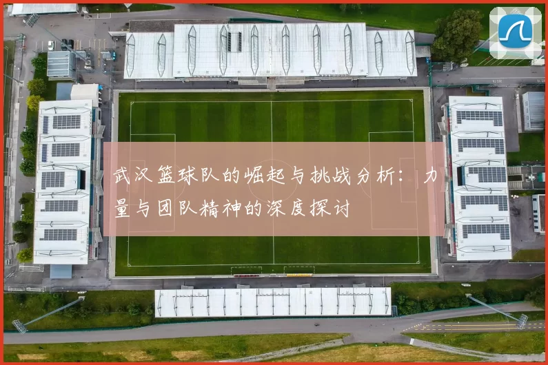 武汉篮球队的崛起与挑战分析：力量与团队精神的深度探讨