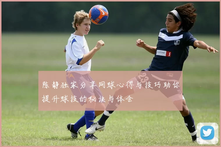 陈静独家分享网球心得与技巧助你提升球技的秘诀与体会