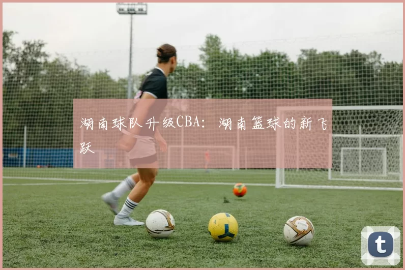 湖南球队升级CBA：湖南篮球的新飞跃