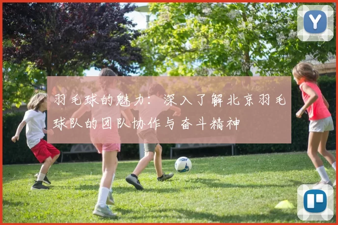 羽毛球的魅力：深入了解北京羽毛球队的团队协作与奋斗精神