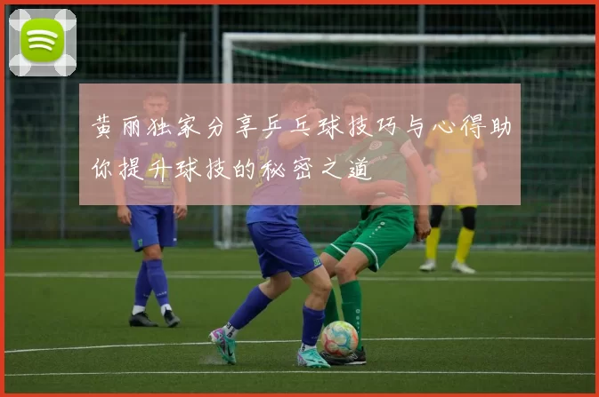 黄丽独家分享乒乓球技巧与心得助你提升球技的秘密之道