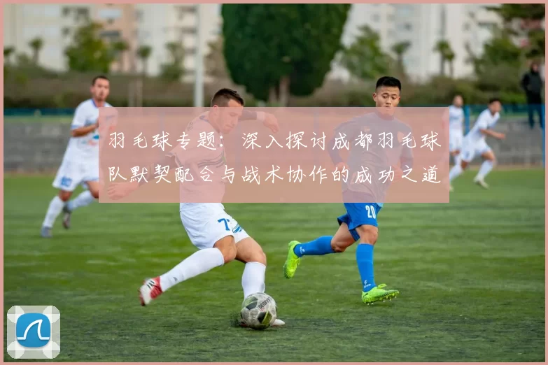 羽毛球专题：深入探讨成都羽毛球队默契配合与战术协作的成功之道