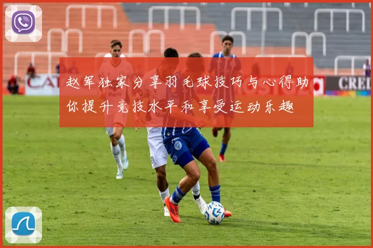 赵军独家分享羽毛球技巧与心得助你提升竞技水平和享受运动乐趣