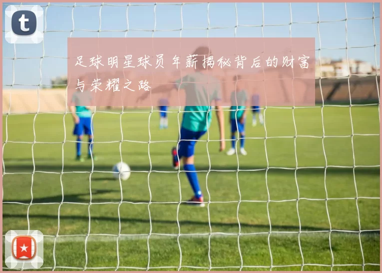 足球明星球员年薪揭秘背后的财富与荣耀之路