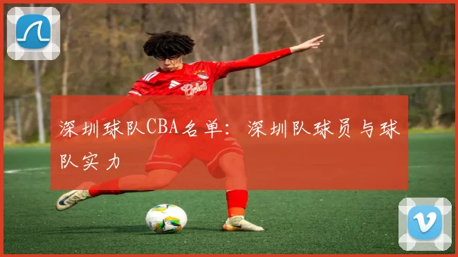 深圳球队CBA名单：深圳队球员与球队实力