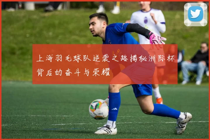 上海羽毛球队逆袭之路揭秘洲际杯背后的奋斗与荣耀