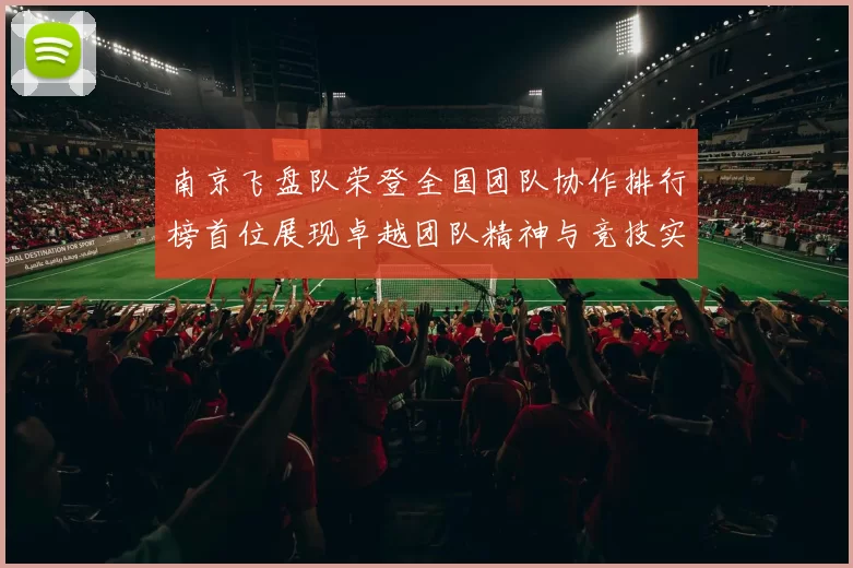 南京飞盘队荣登全国团队协作排行榜首位展现卓越团队精神与竞技实力