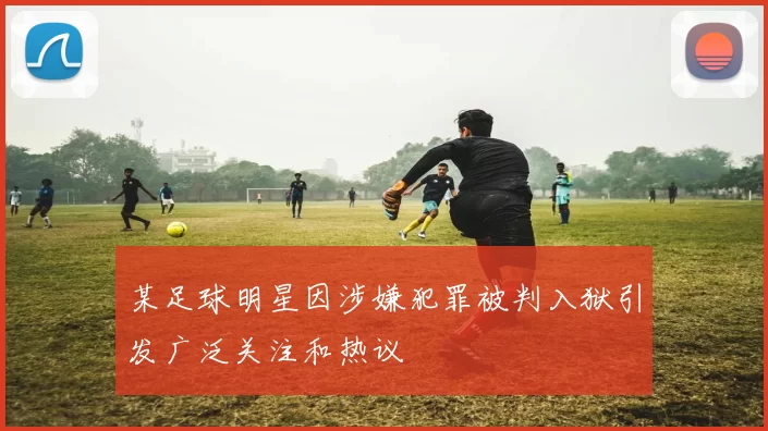 某足球明星因涉嫌犯罪被判入狱引发广泛关注和热议
