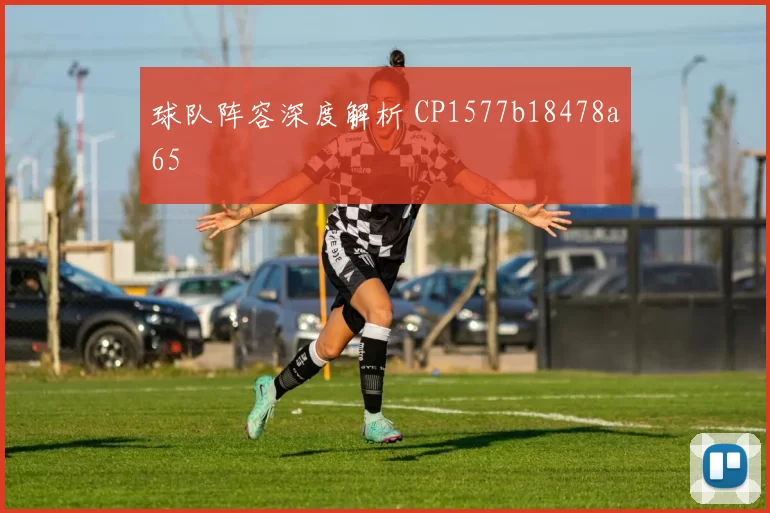 球队阵容深度解析 CP1577b18478a65