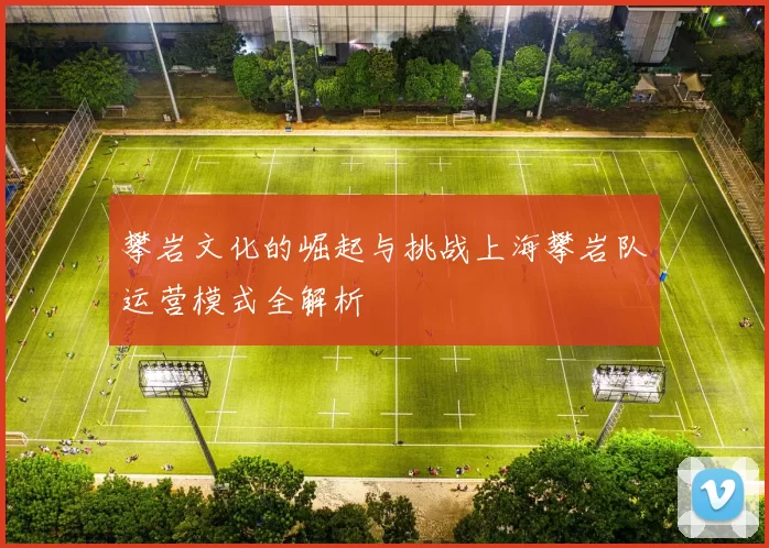 攀岩文化的崛起与挑战上海攀岩队运营模式全解析