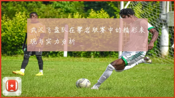 武汉飞盘队在攀岩联赛中的精彩表现与实力分析