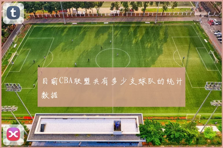 目前CBA联盟共有多少支球队的统计数据