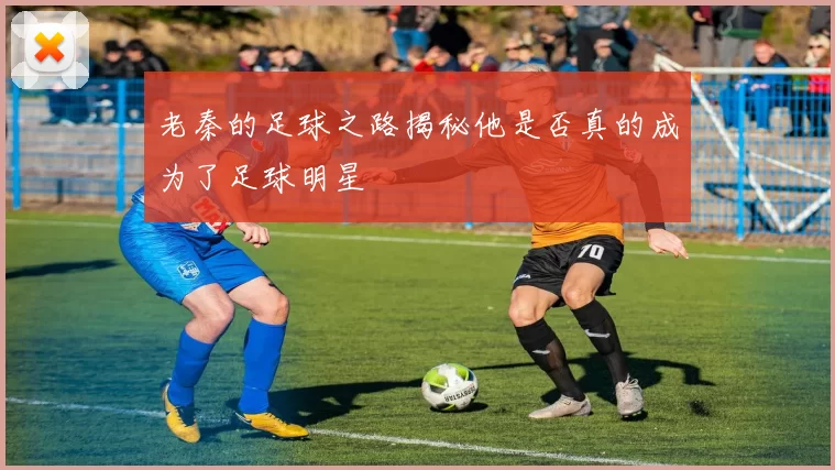 老秦的足球之路揭秘他是否真的成为了足球明星