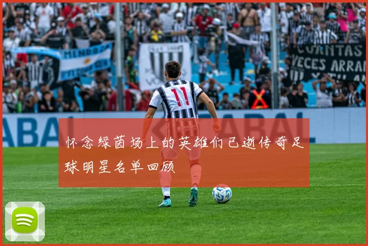 怀念绿茵场上的英雄们已逝传奇足球明星名单回顾