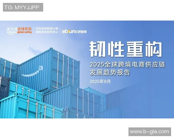 打造全球商务新格局：创新战略与跨境合作的未来发展趋势